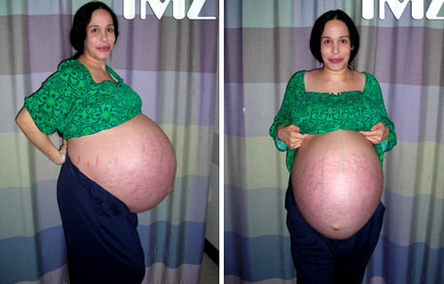 Nadya Suleman w ciąży | Foto: Google