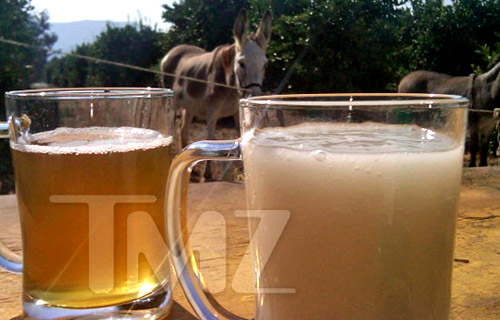 Uczestnicy Fear Factor mieli za zadanie wypić całą szklankę spermy osła | fot. TMZ