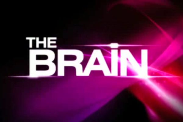 Logo programu "The Brain"