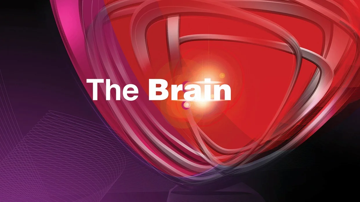 Logo programu "The Brain"